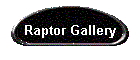 Raptor Gallery