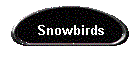Snowbirds