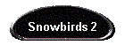 Snowbirds 2